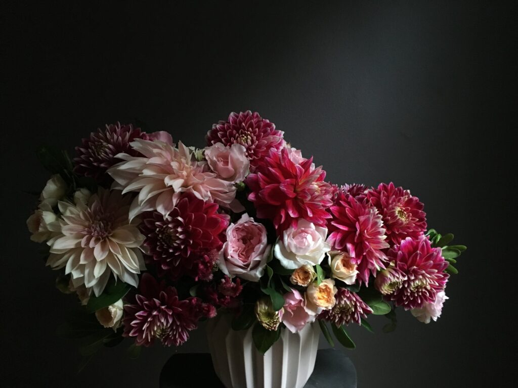 Amorous Floral design. This image presents a stunning arrangement of fresh dahlias and roses, elegantly displayed in a classic white vase. The flowers, in various shades of pink, red, and white, stand out against a dark backdrop, creating a visual feast. The intricate petal arrangements and the rich color variations of each bloom are captured in exquisite detail, showcasing the radiance and vibrancy of fresh flowers.