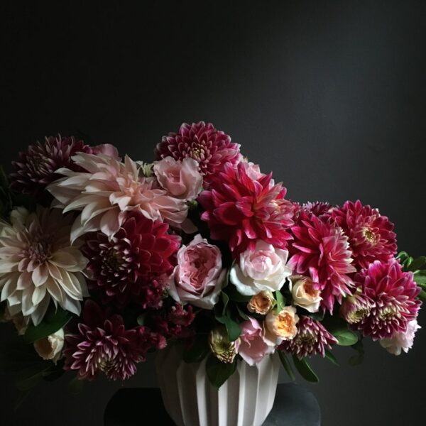 Amorous Floral design. This image presents a stunning arrangement of fresh dahlias and roses, elegantly displayed in a classic white vase. The flowers, in various shades of pink, red, and white, stand out against a dark backdrop, creating a visual feast. The intricate petal arrangements and the rich color variations of each bloom are captured in exquisite detail, showcasing the radiance and vibrancy of fresh flowers.